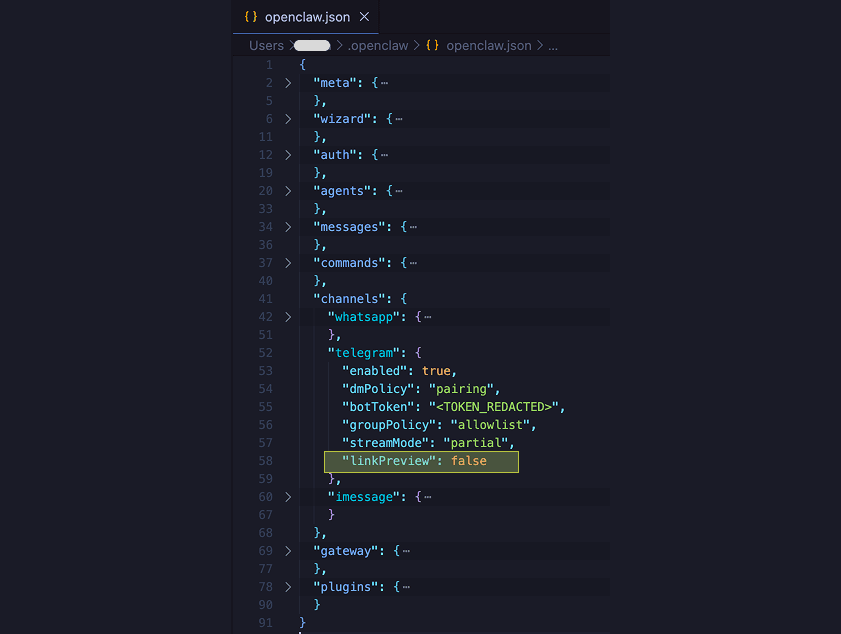 Secure recommended configuration file for OpenClaw Telegram users with linkPreview set to `false`.