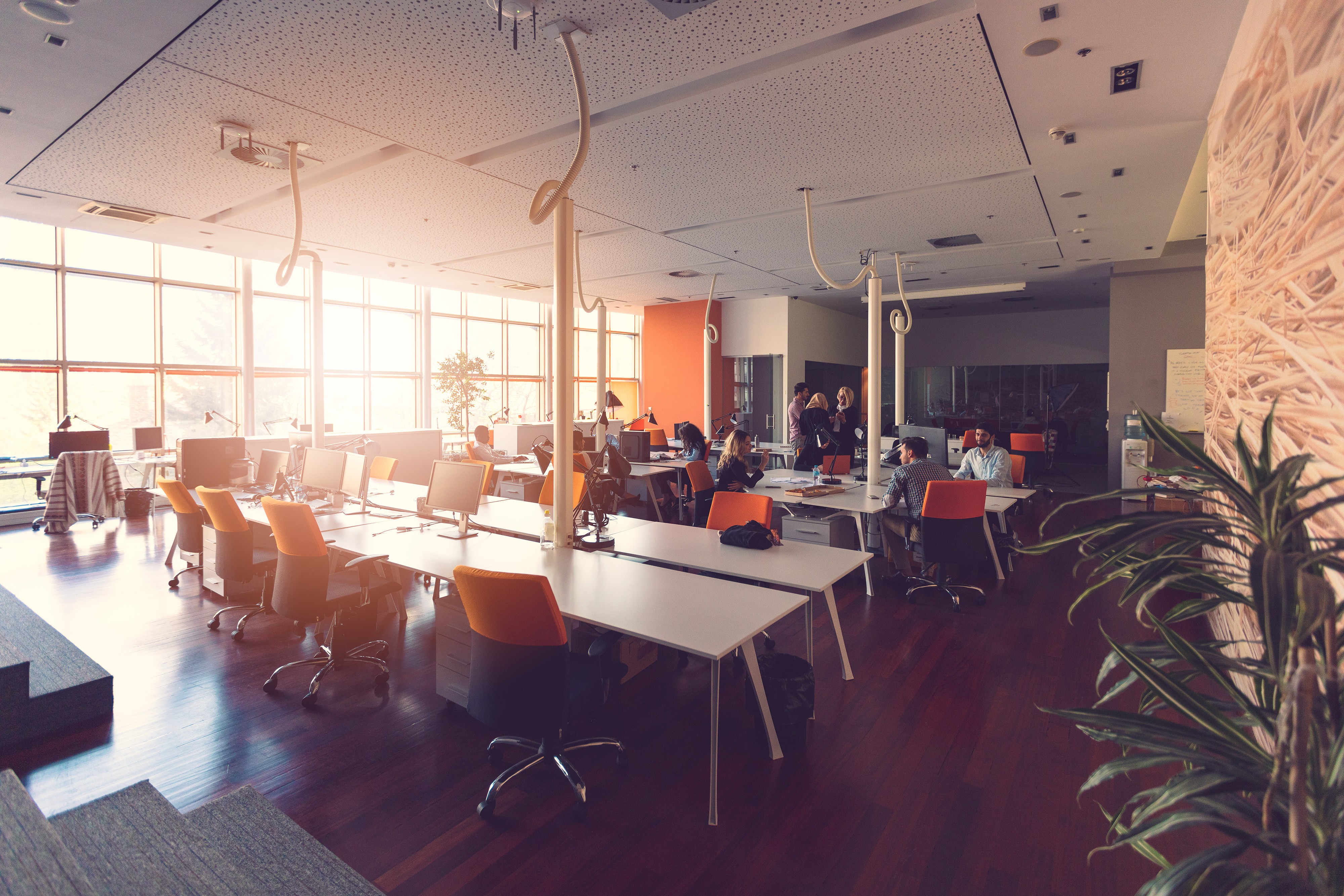 Professional woman smiling