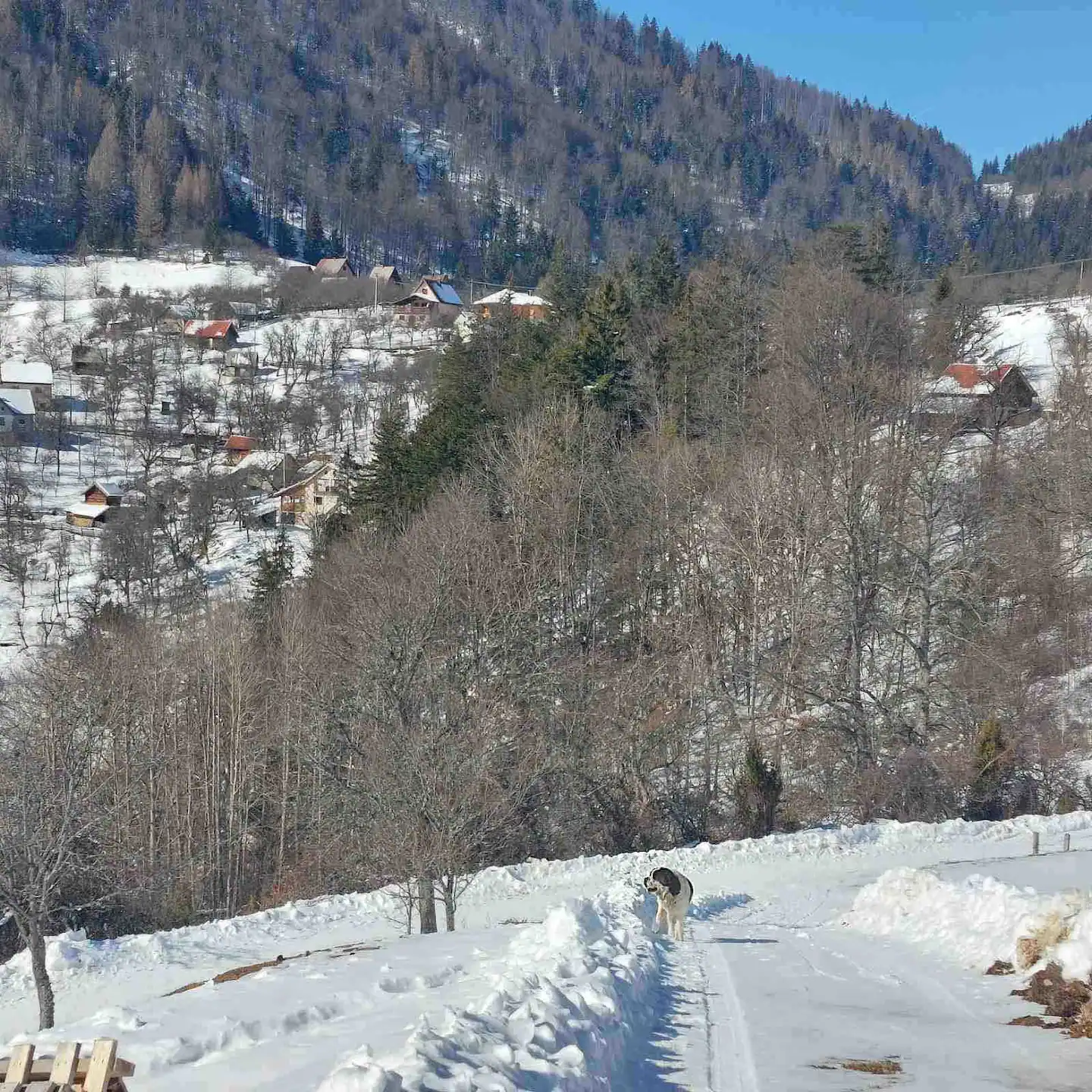 Slika pogleda sa vikendice Zaovinski Kutak u Zaovinama