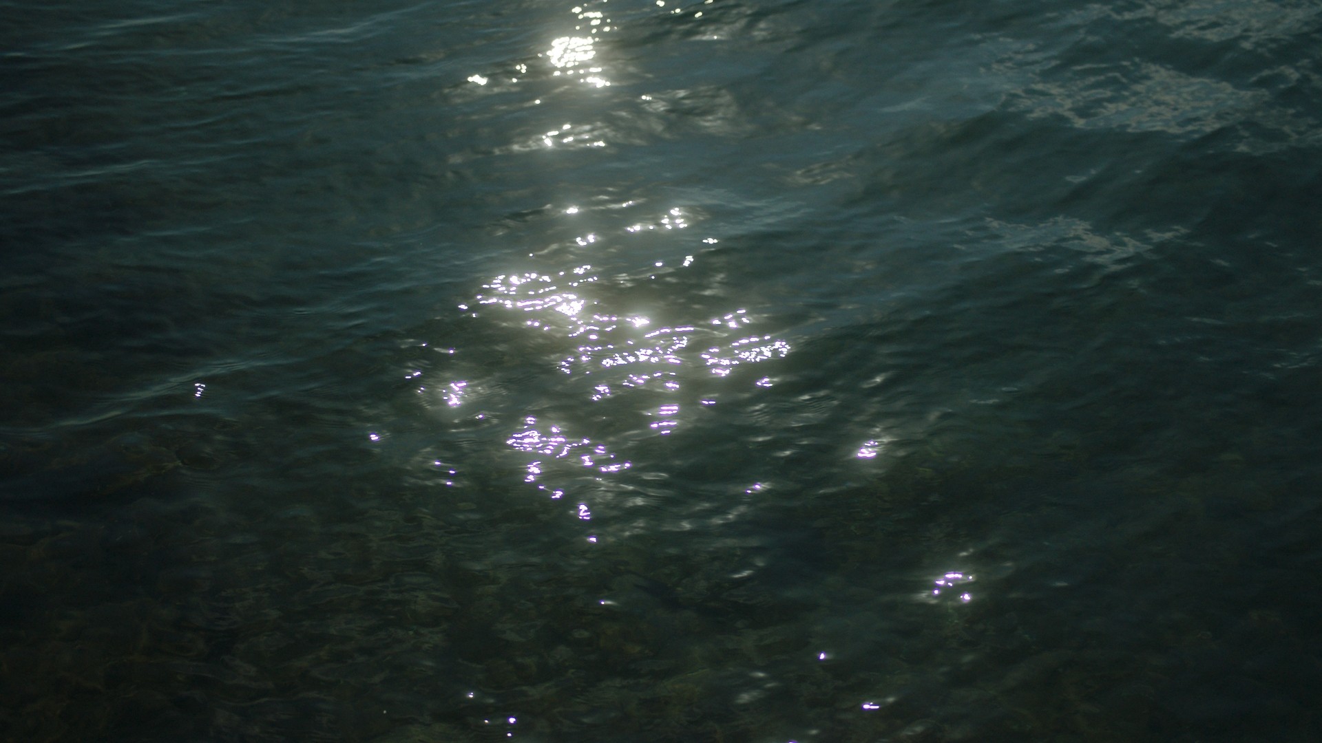 Light sparkles in the water