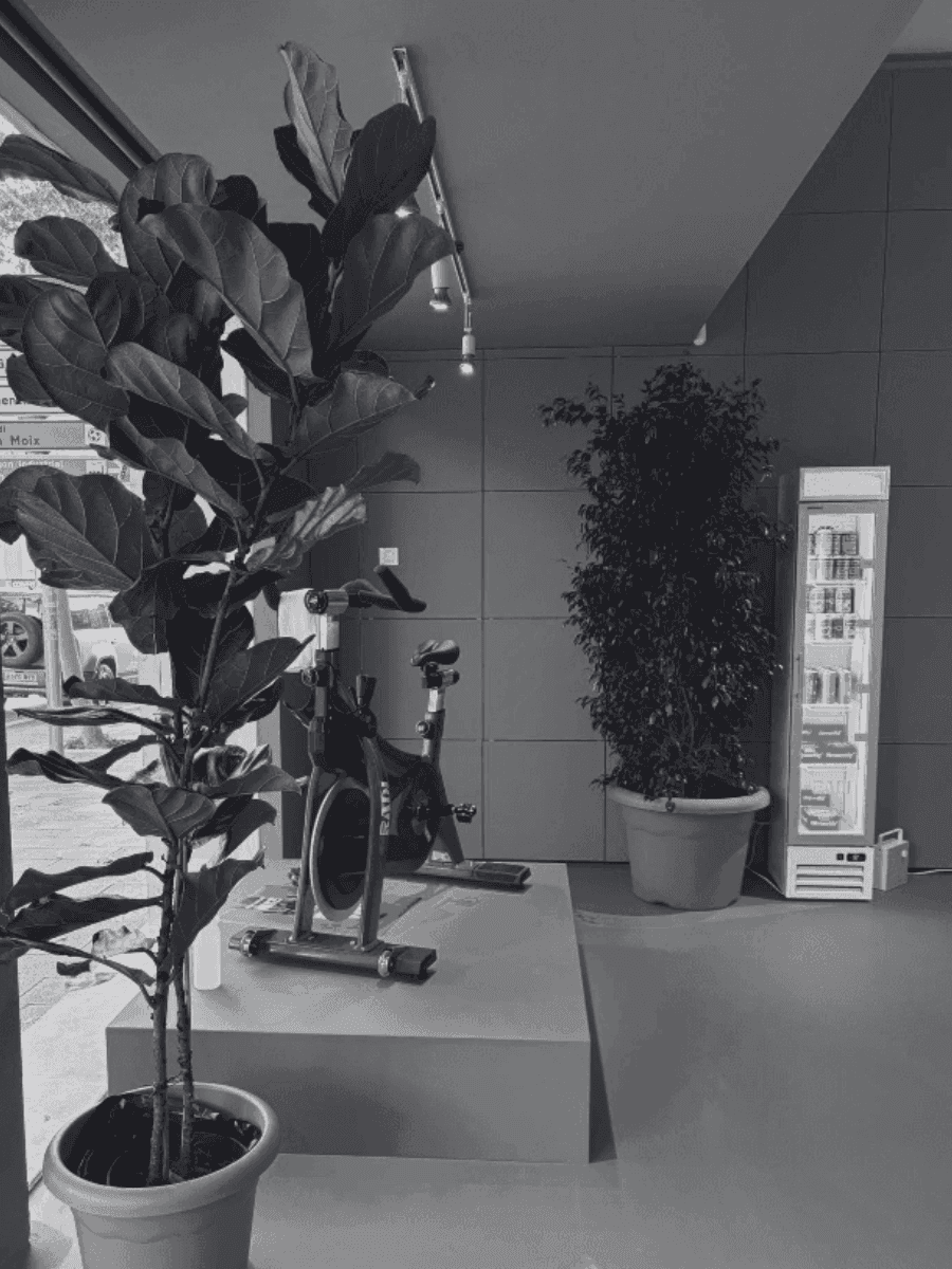 proyecto de actividad de ingeniería en Palma 