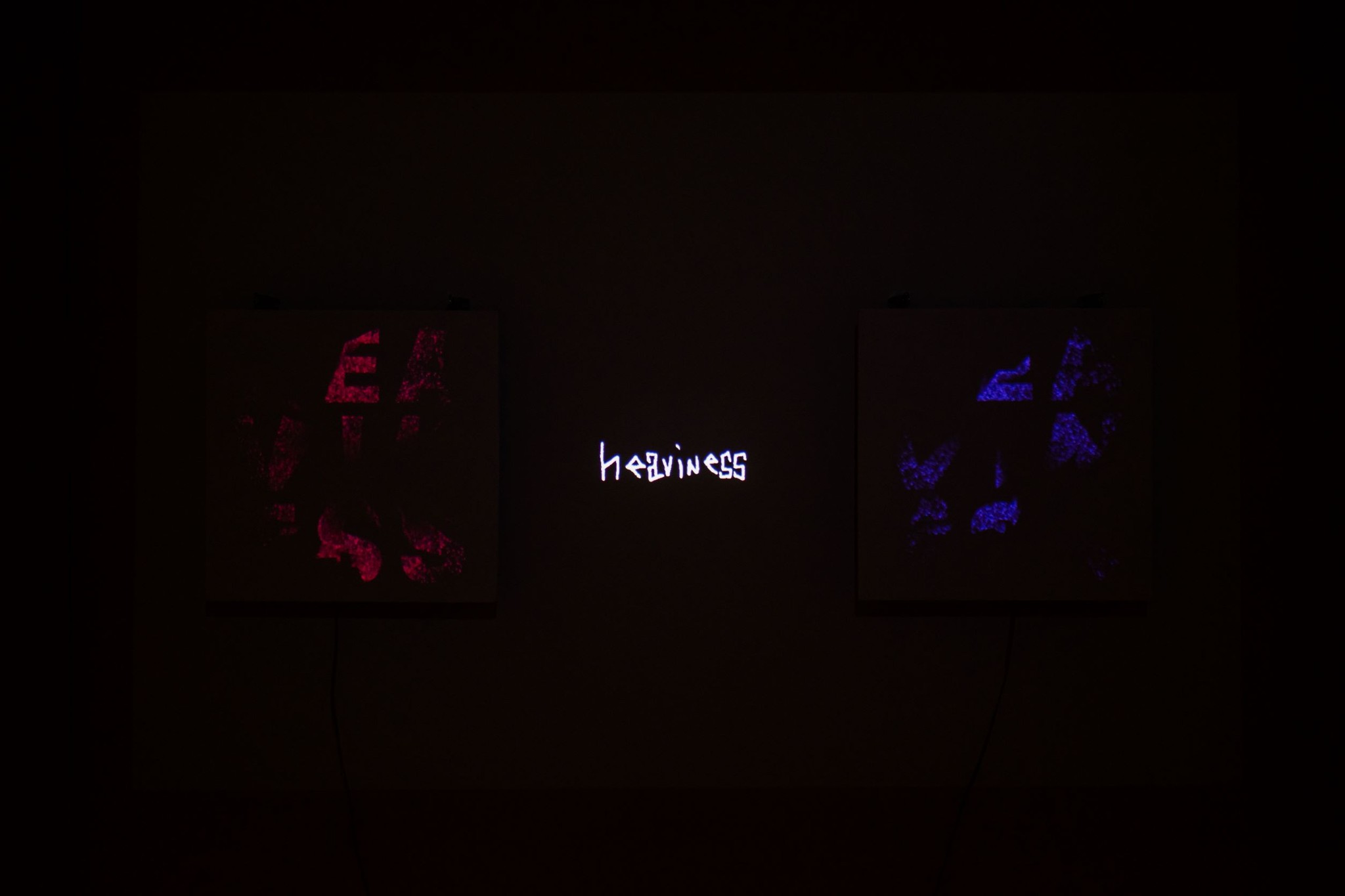 The Dog Who Swallow Millions Exhibition Photo 2