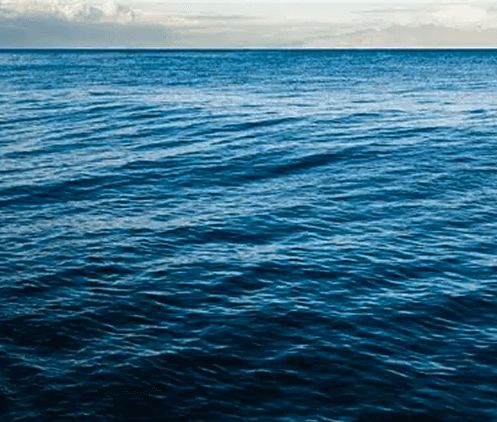 Waste Water Treatment Service-NaturalSTP, Low energy, Zero OPEX treatment System, Non electric