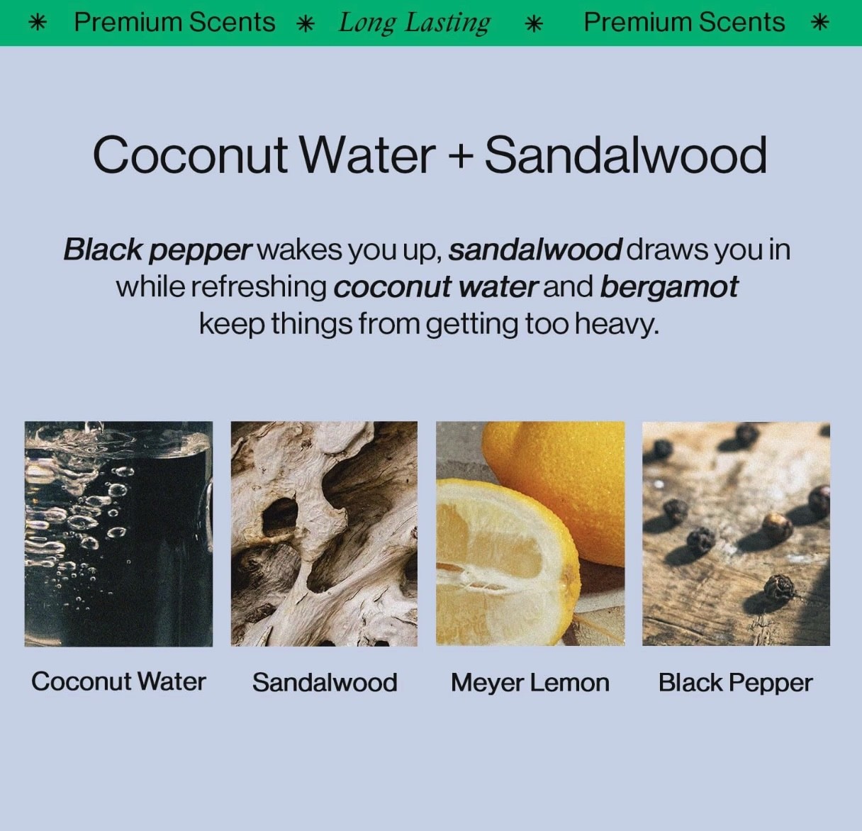 Offcourt Amazon A+ Graphic