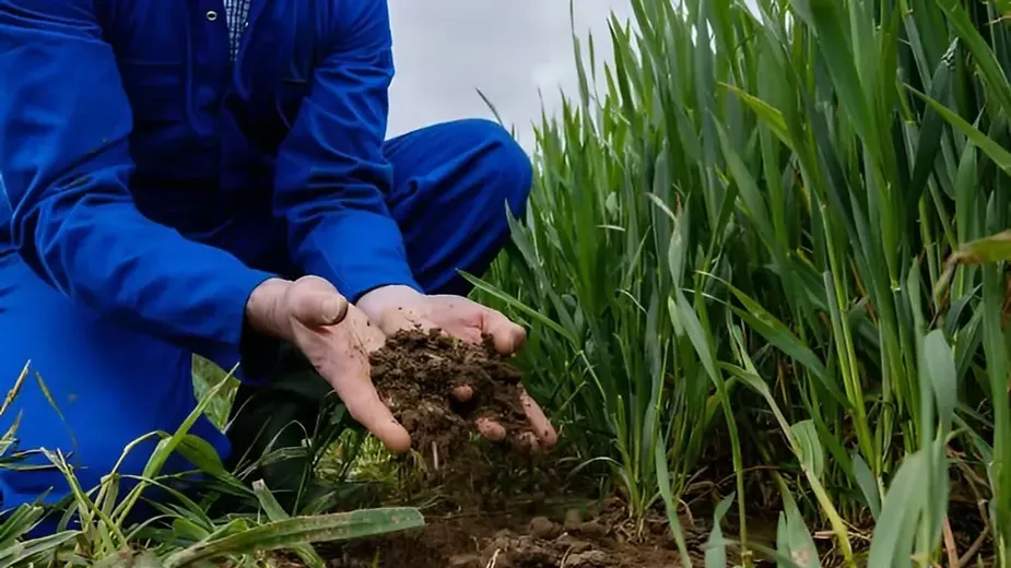 How Can We Conserve Biodiversity.webp