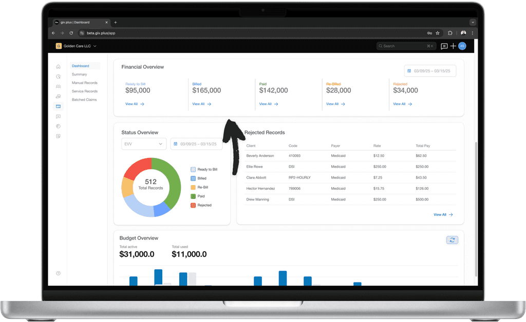 Revenue overview software.