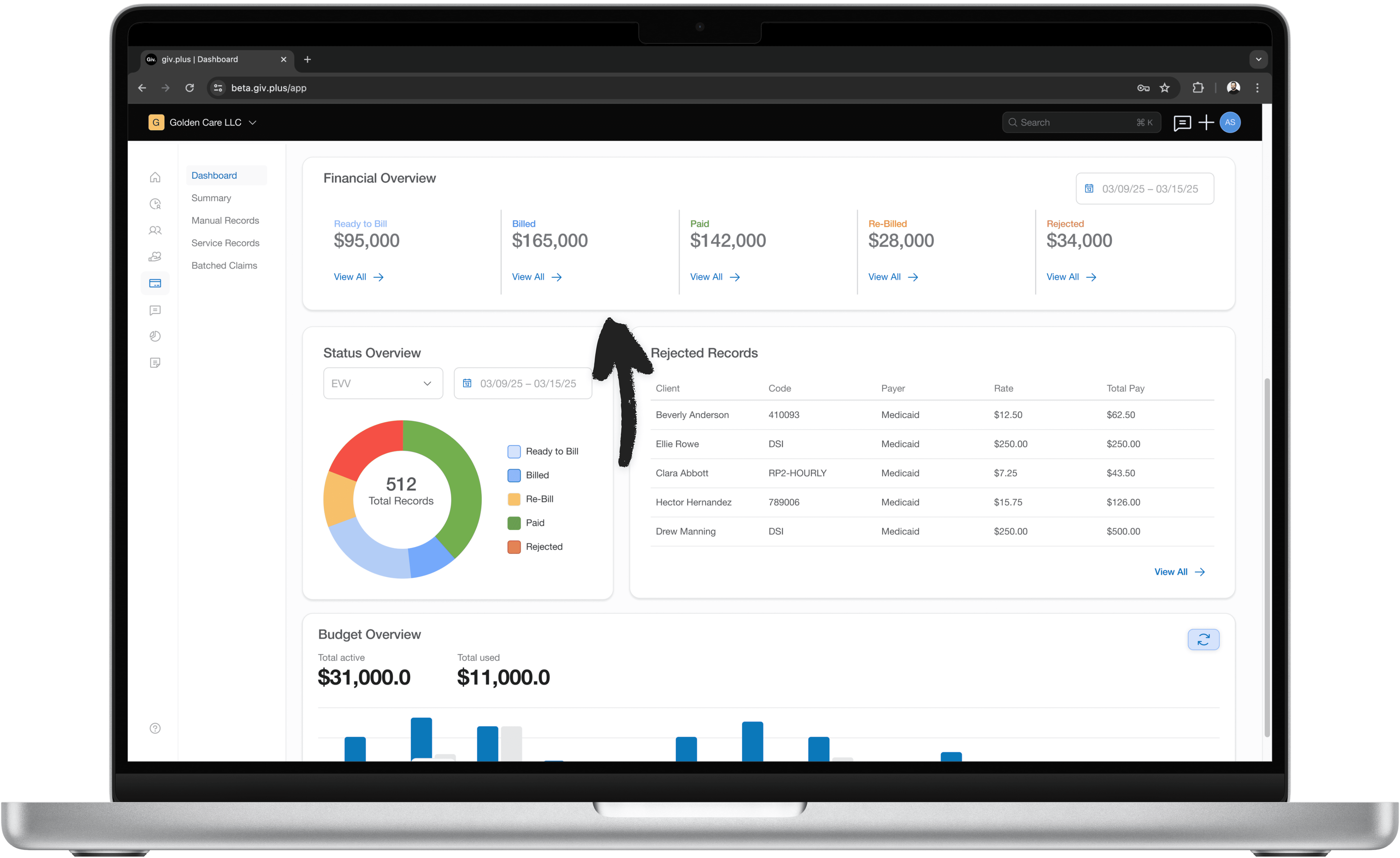 Revenue overview software.