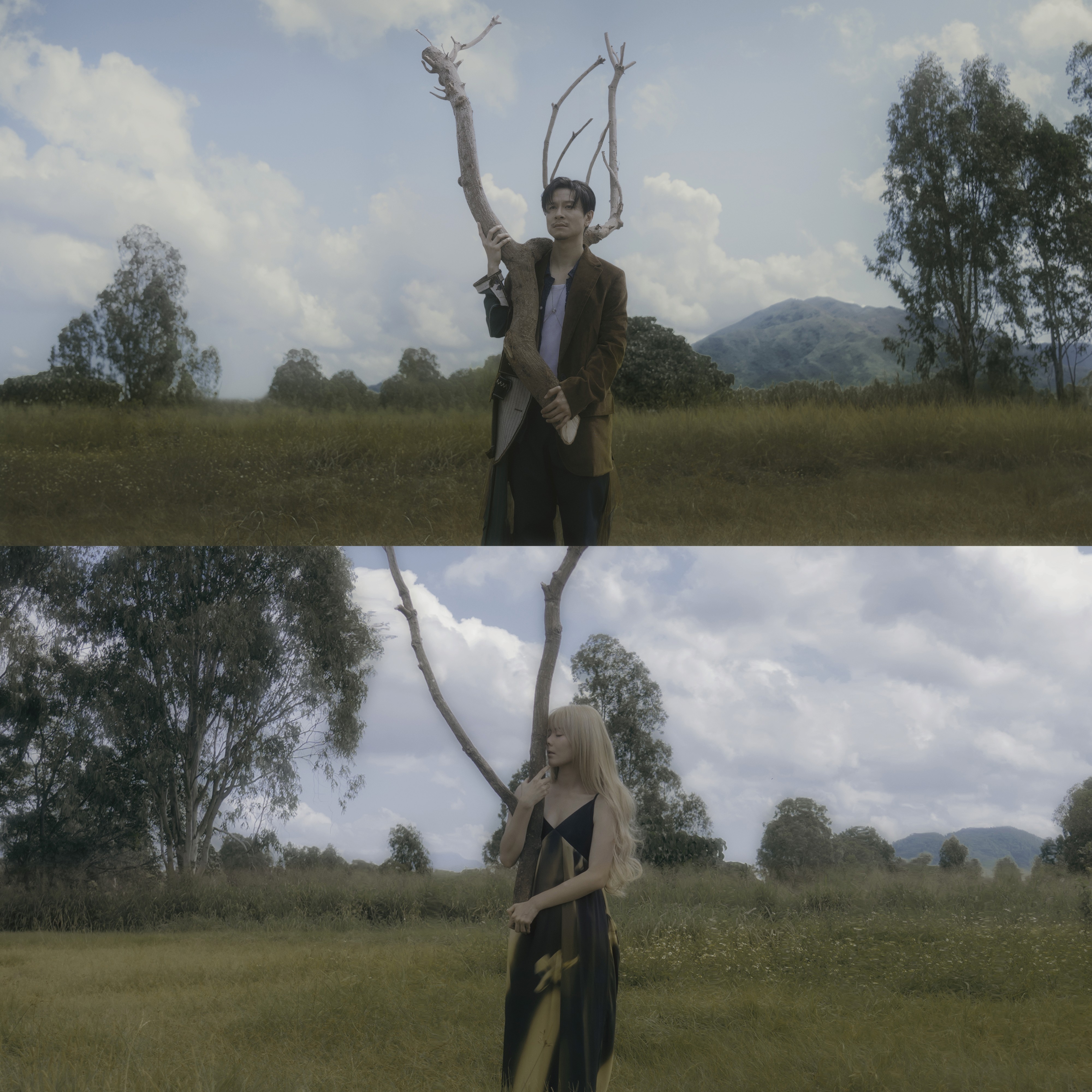 Concert Performance Photo