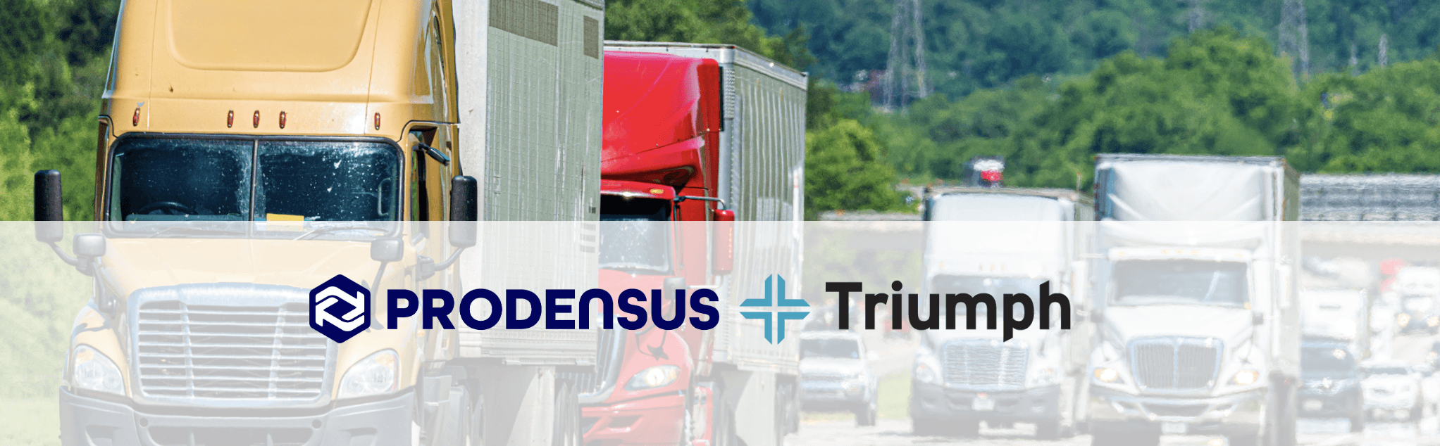 partnership with triumph intelligence & prodensus