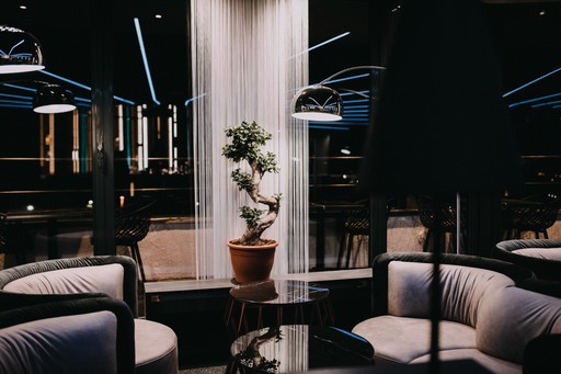 cocktailbar view inside cozy