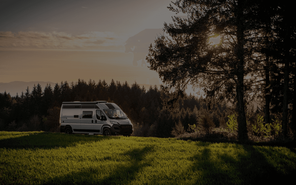 Freedom of the road in our of our campervans