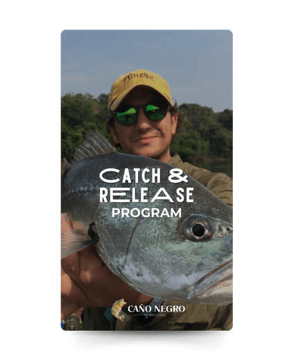 Catch and Release Program