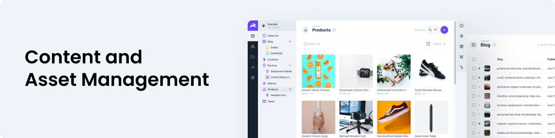 Content and Asset Management