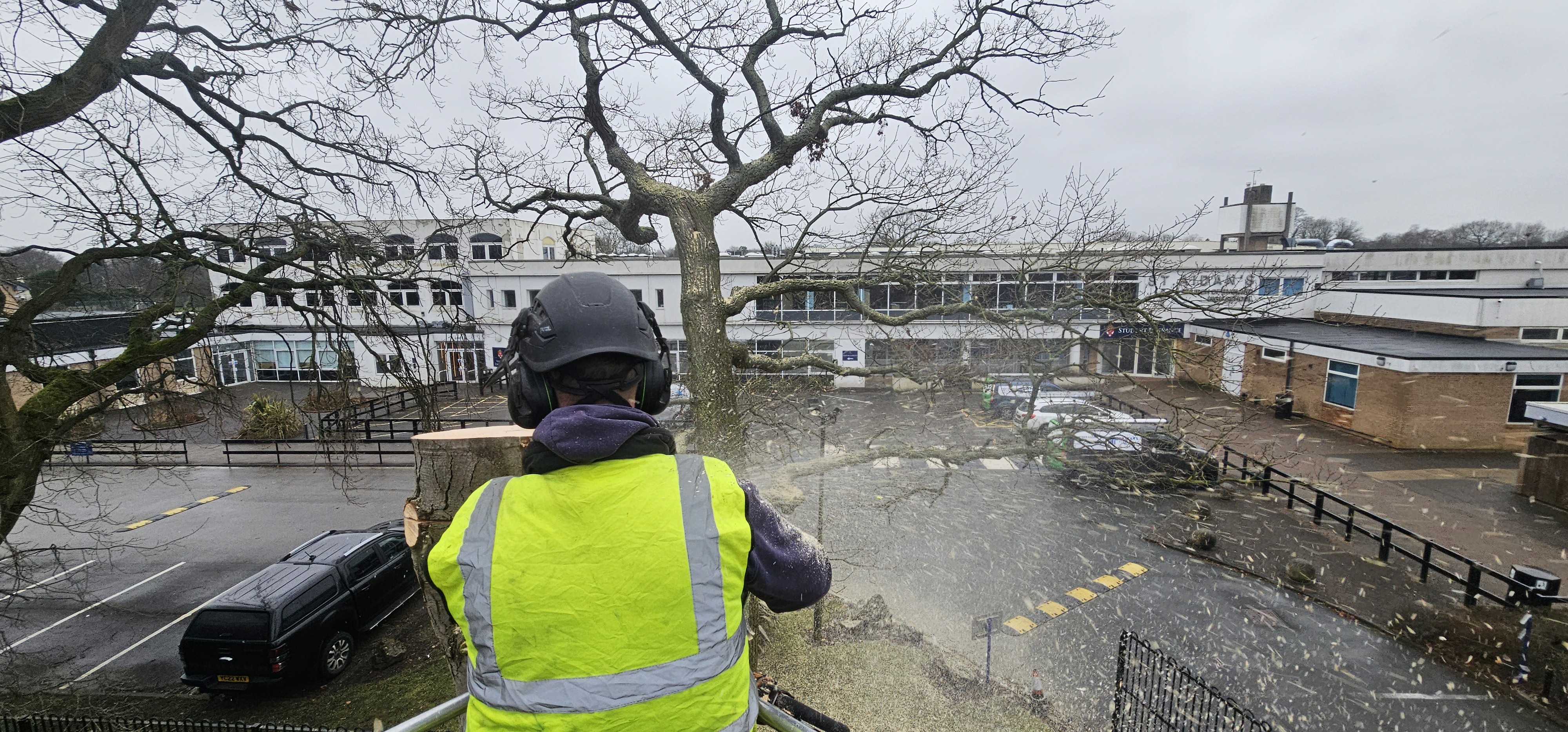 a grassy field with trees in the background