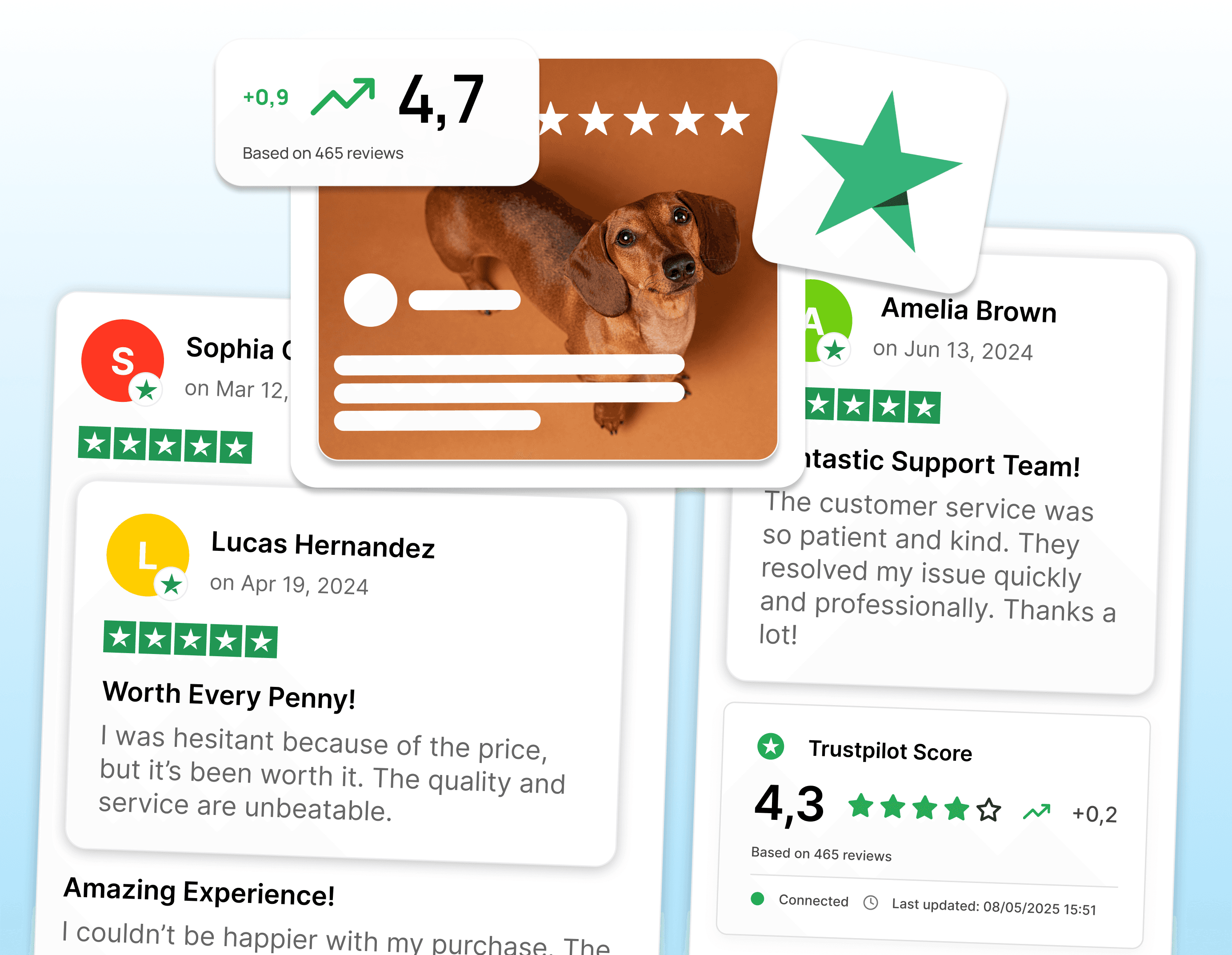 Maximizing the Impact and Visibility of Your Trustpilot Reviews