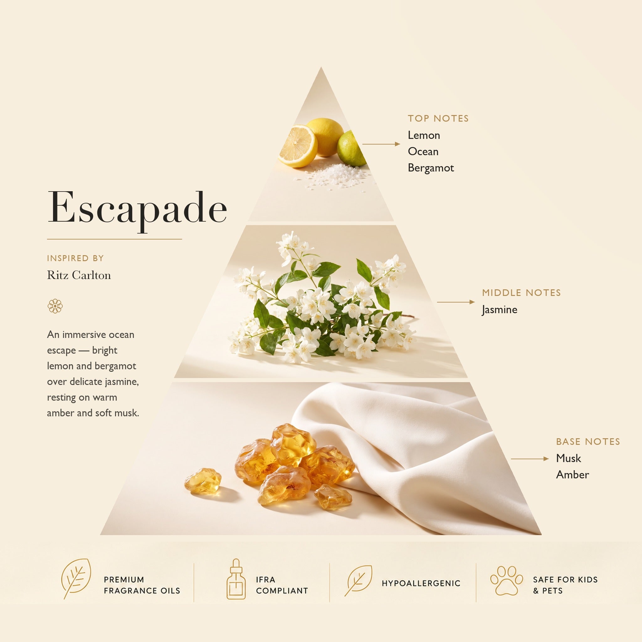 Escapade fragrance notes pyramid — top notes Lemon, Ocean, Bergamot; middle note Jasmine; base notes Musk, Amber | Ascent Collection