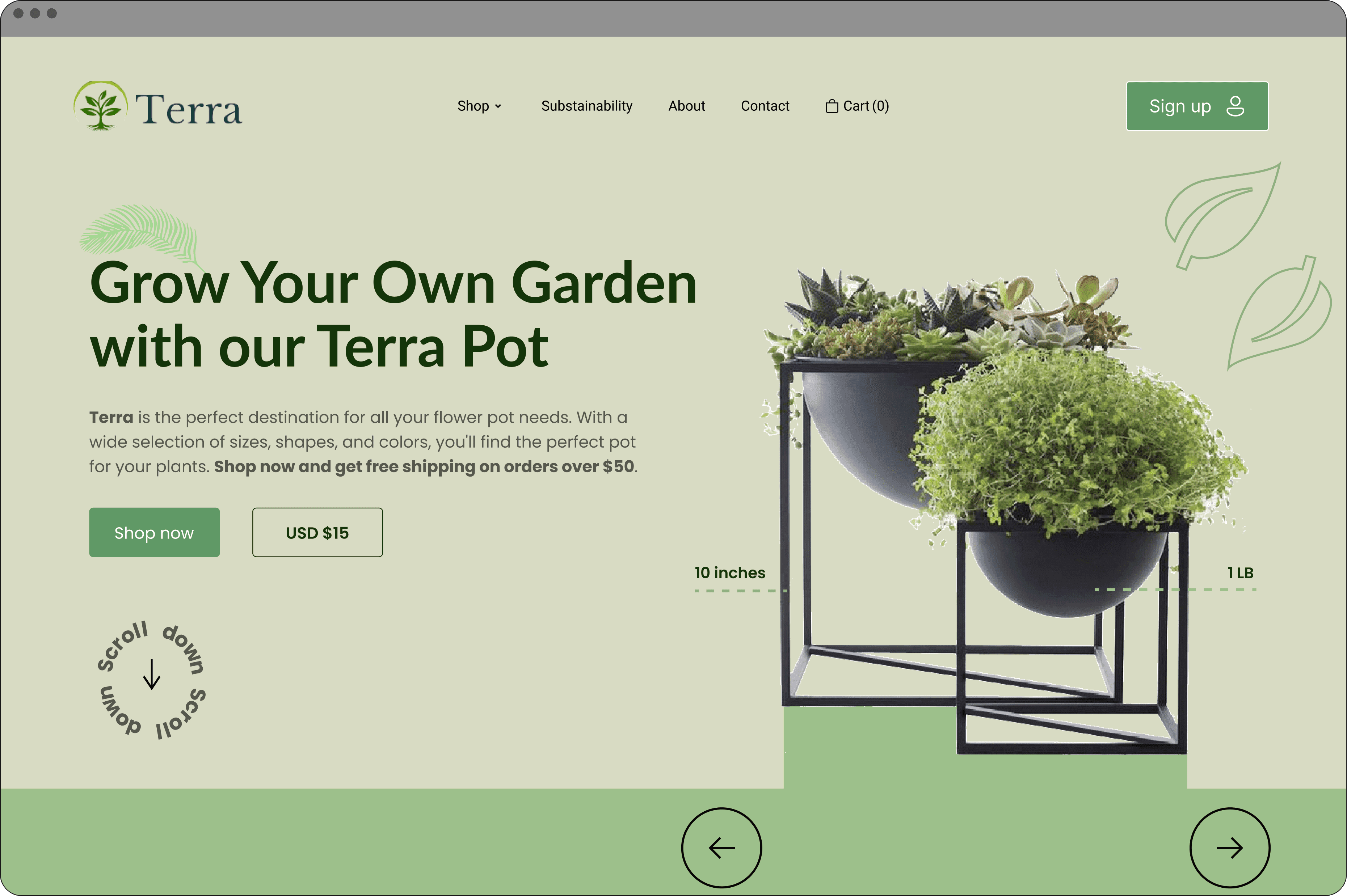 hero section of plant website
