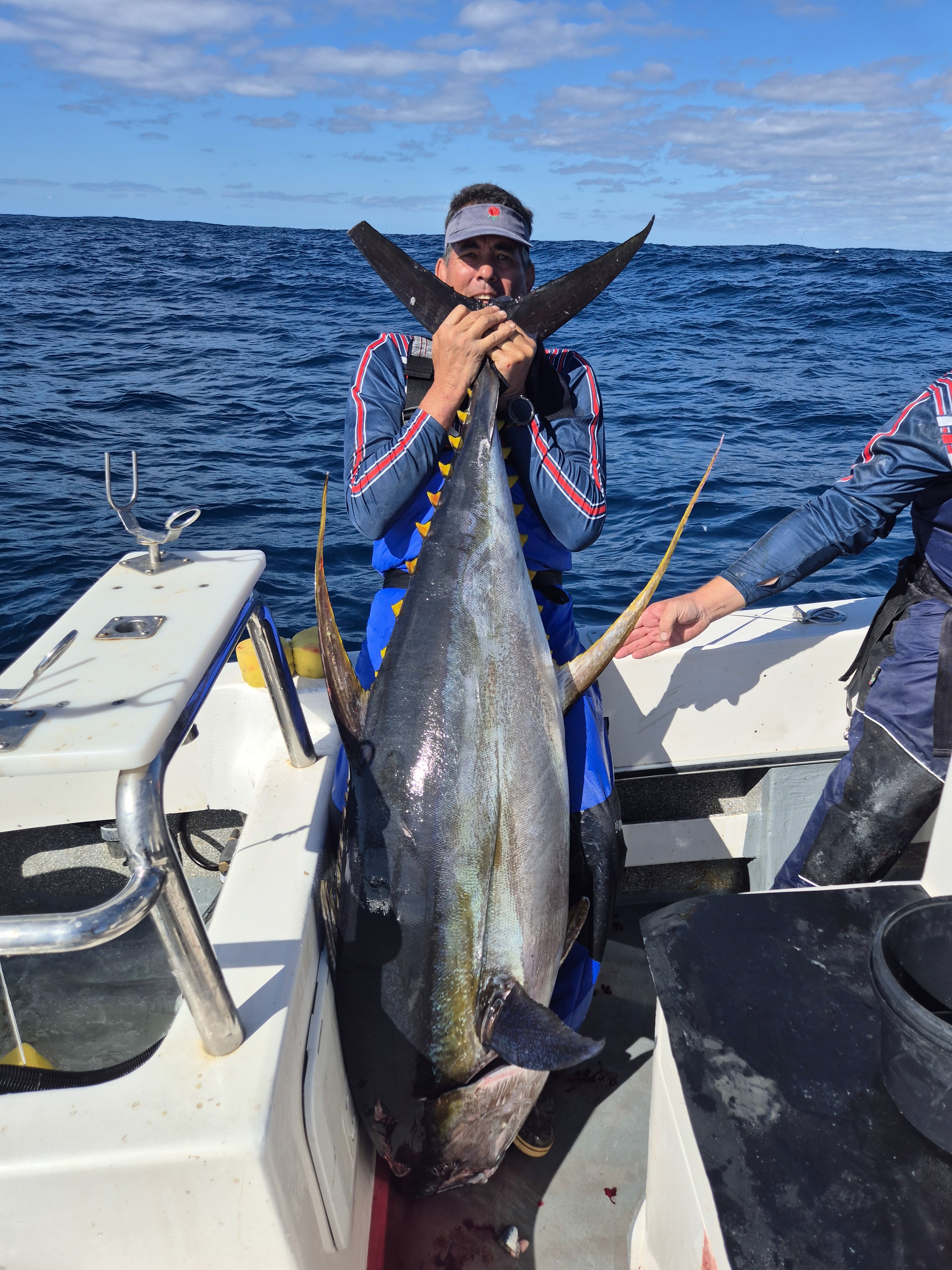Tuna Fish Swimming in Ocean