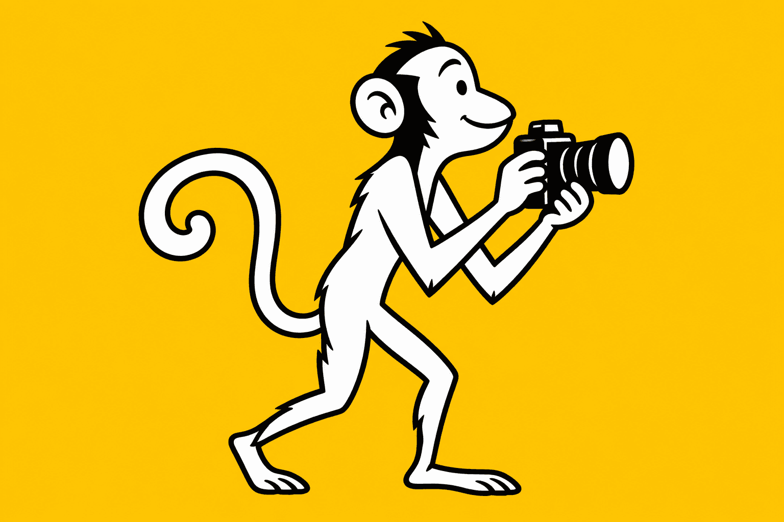 Home — monkey with a camera