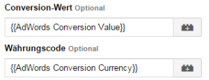 Conversion-Tag-Manager-AdWords-Makrowerte-übergeben