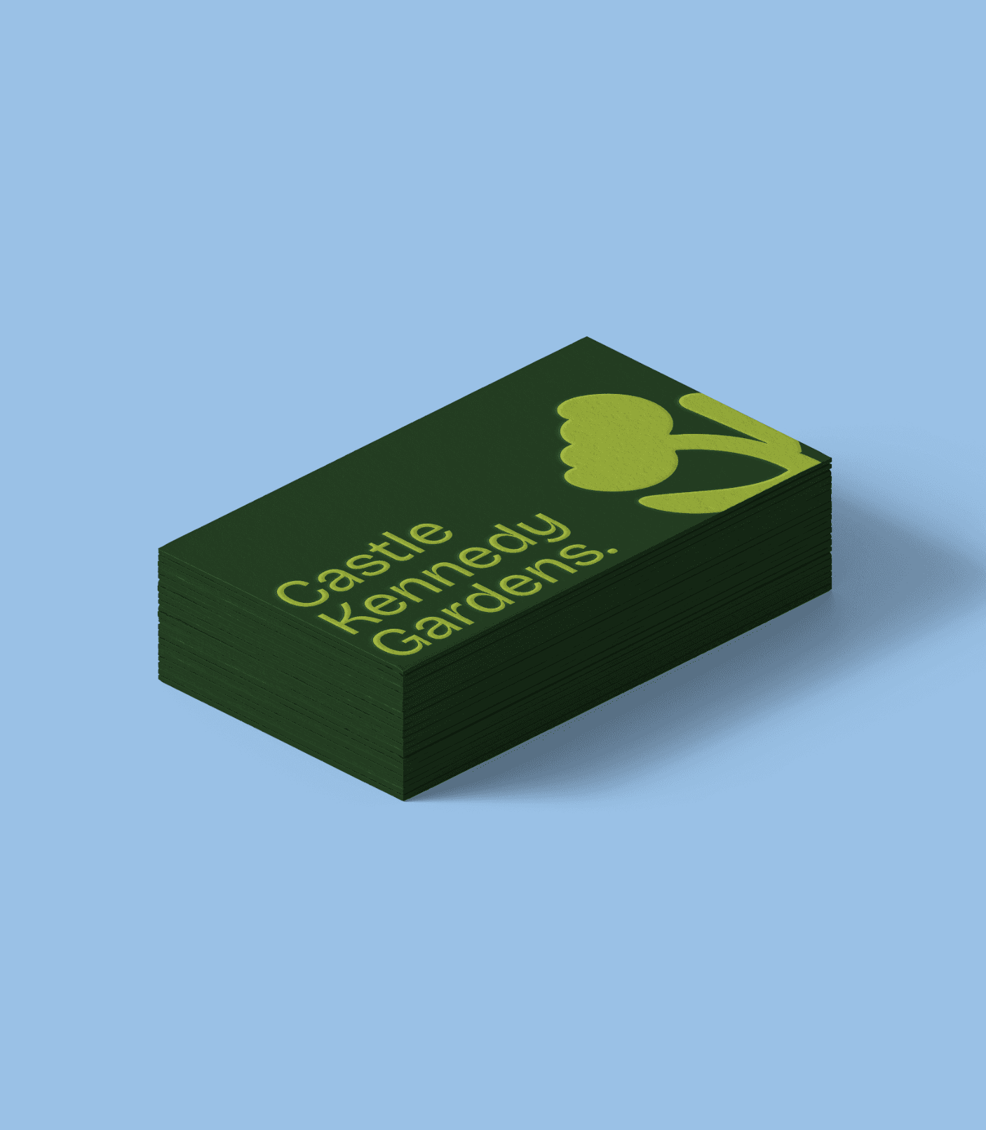 Large Project Gallery Image #2