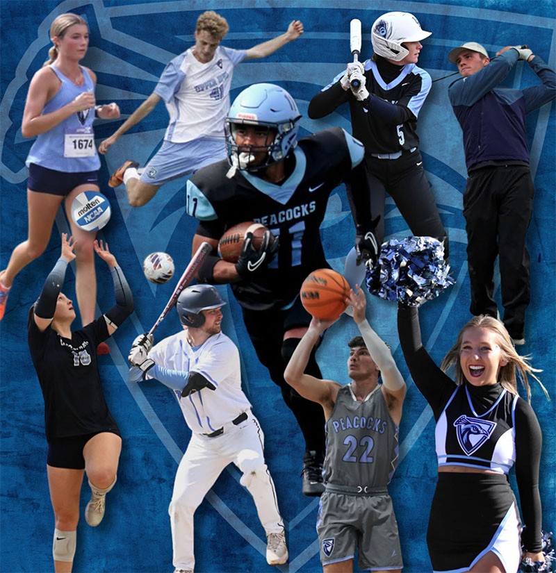 A graphic collage including many UIU atheletes playing sorts, including cross countyr, soccer, softball, golf, volleyball, baseball, basketball and cheer
