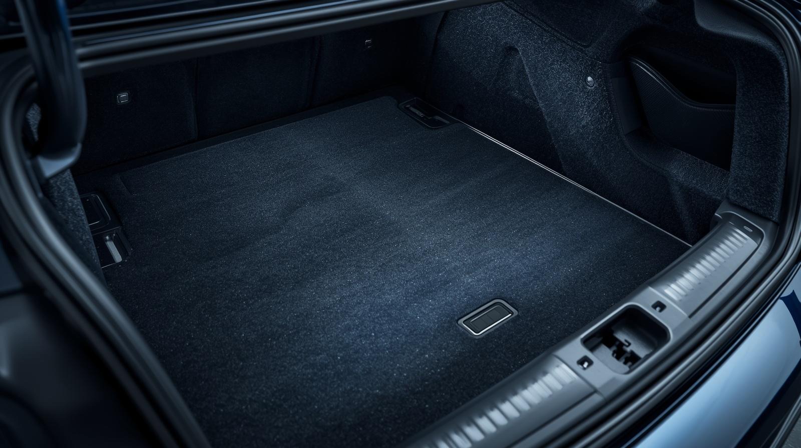 GTA fur free pet hair carpet removal before treatment