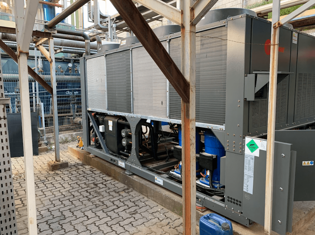 A woman in a straw hat stands in the grass