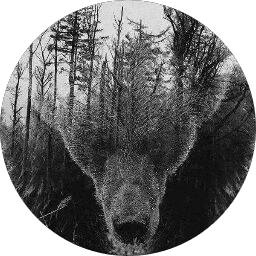 fabien hugo