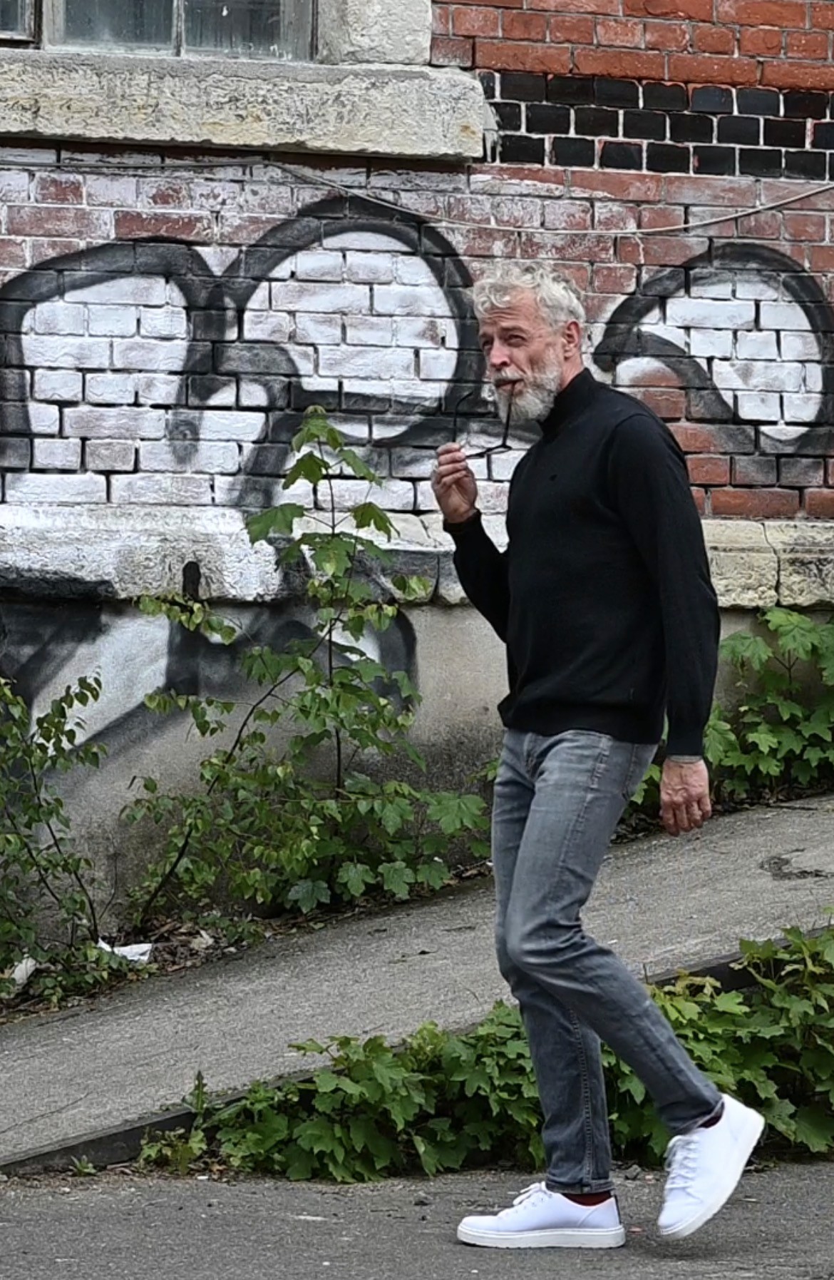 A man with gray hair and a beard stands outdoors, strong face with greenery backrounds