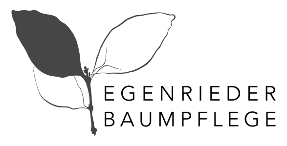Logo von Egenrieder Baumpflege