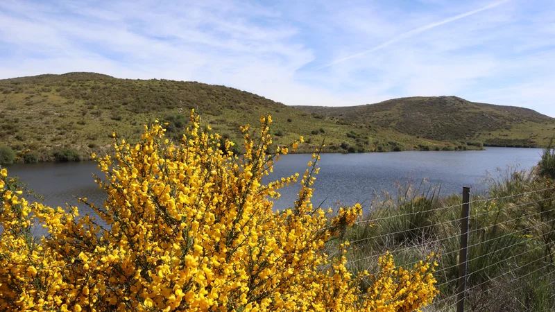 Sierra y naturaleza