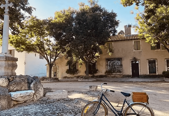 a woman getting a back massage at a spa