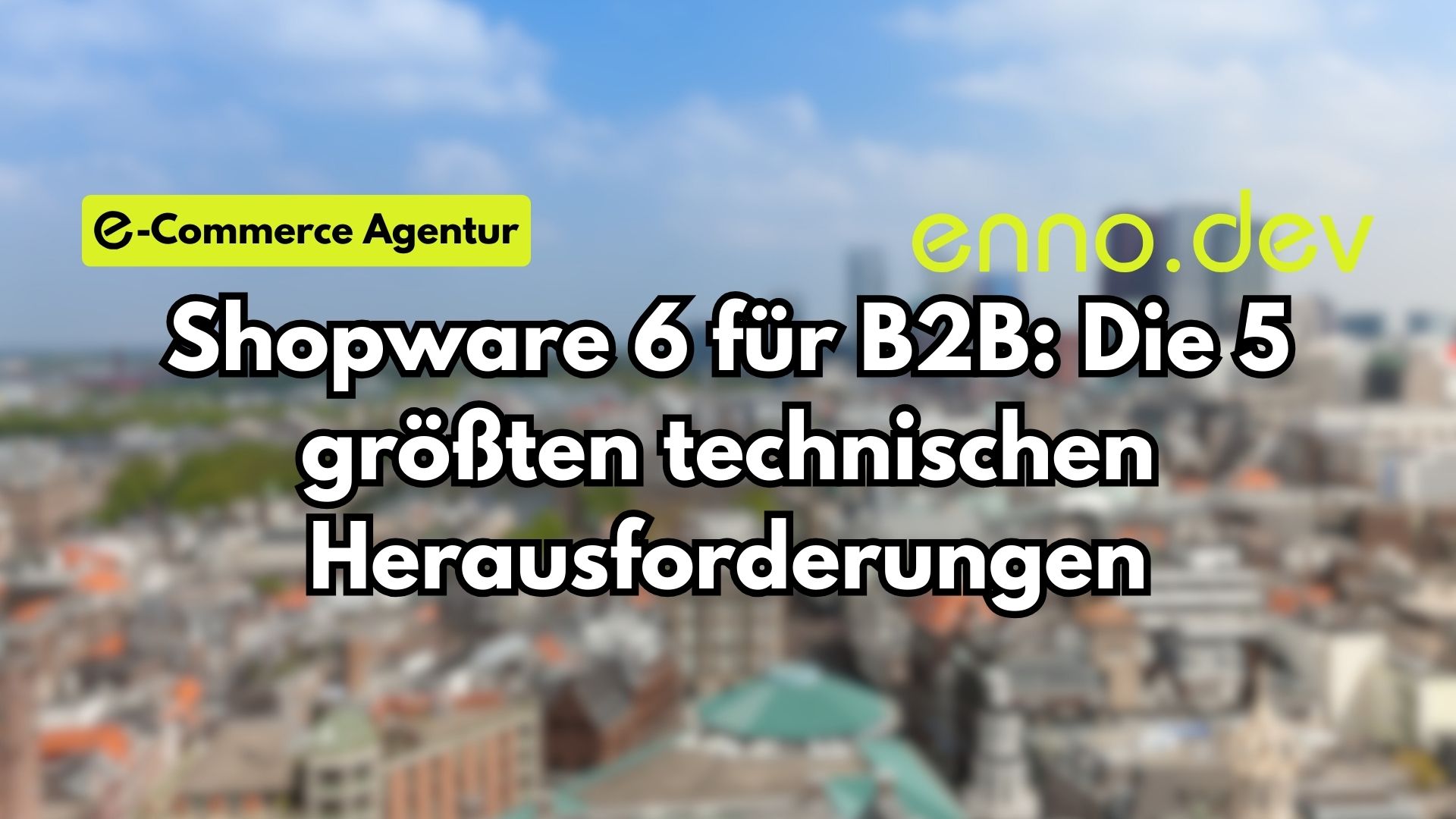 Shopware 6 für B2B: Die 5 größten technischen Herausforderungen SHOPWARE BLOG