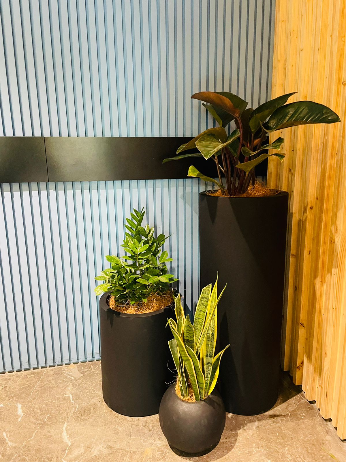 Plant rental services