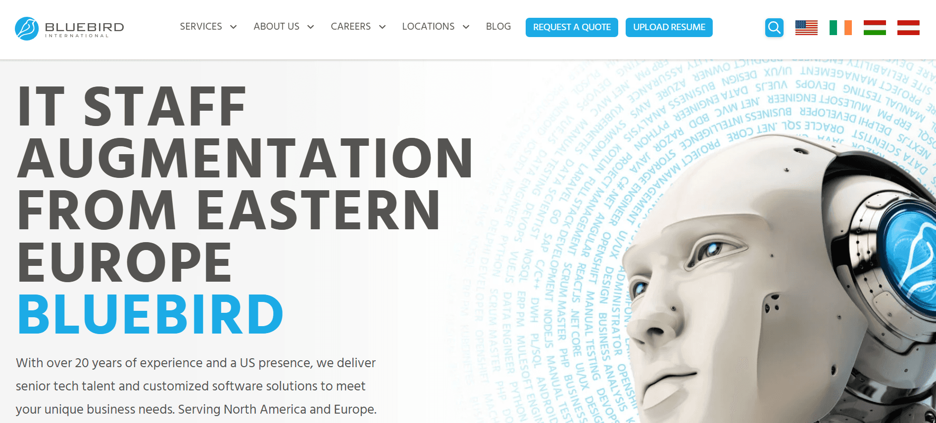 bluebird international -  Top IT Recruiting Firms