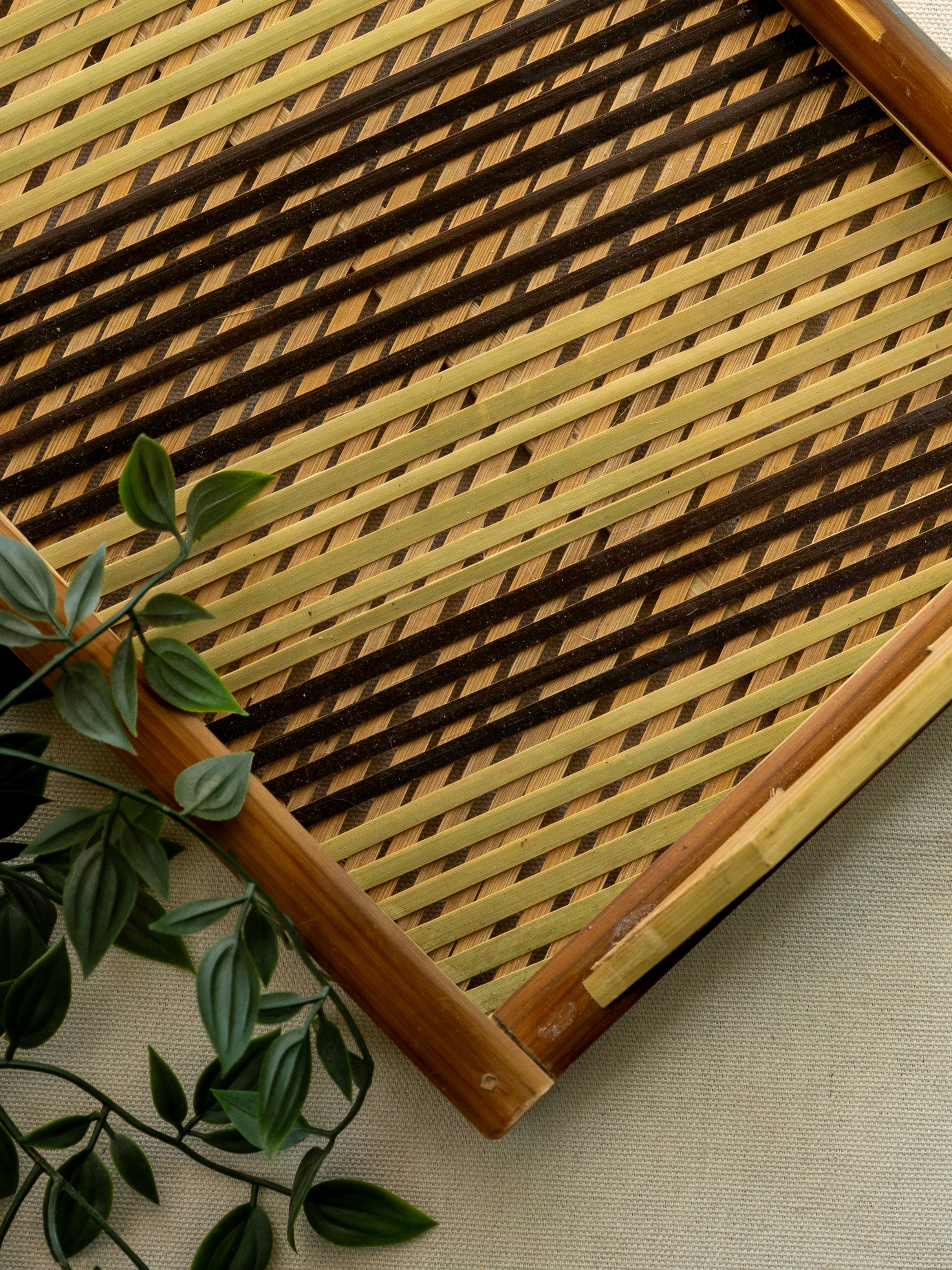 Bamboo surface detail