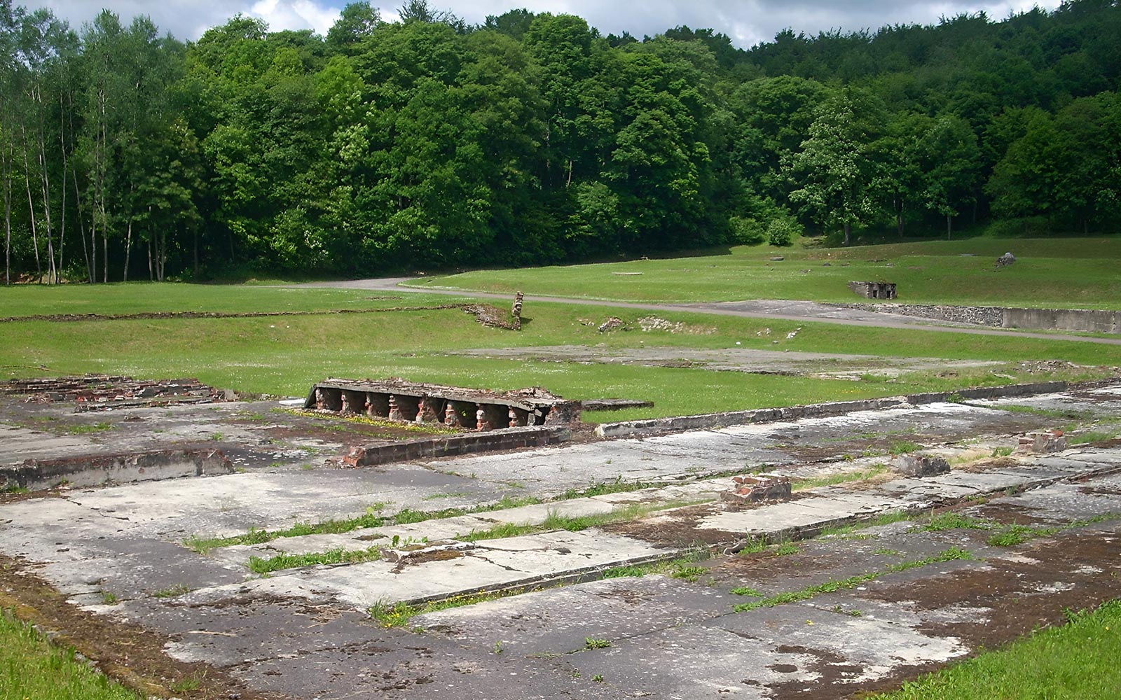 Ruins of Stutthof Concentration Camp surrounded by green forest.