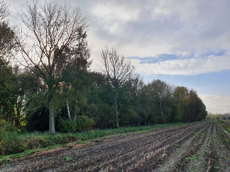 Buitengebied Hardinxveld-Giessendam