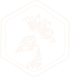 Mangal Mezze & Grill: Pfauen-Logo für türkisches Restaurant & Mezze Saarbrücken.