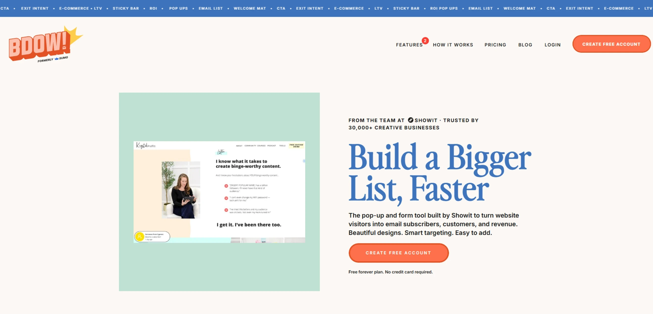 BDOW website hero section featuring the headline “Build a bigger list, faster”