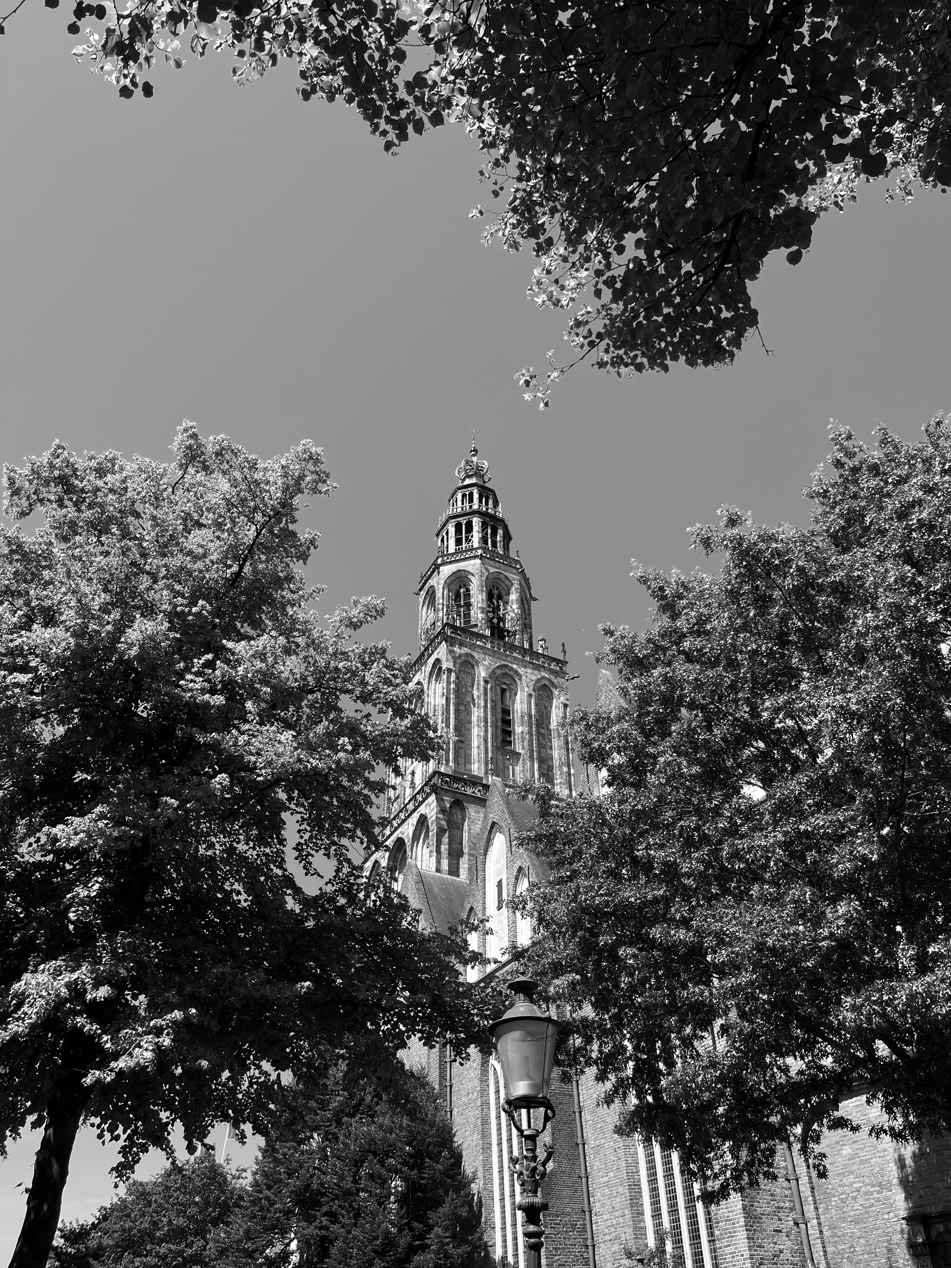 A picture of the martini tower peaking through the trees
