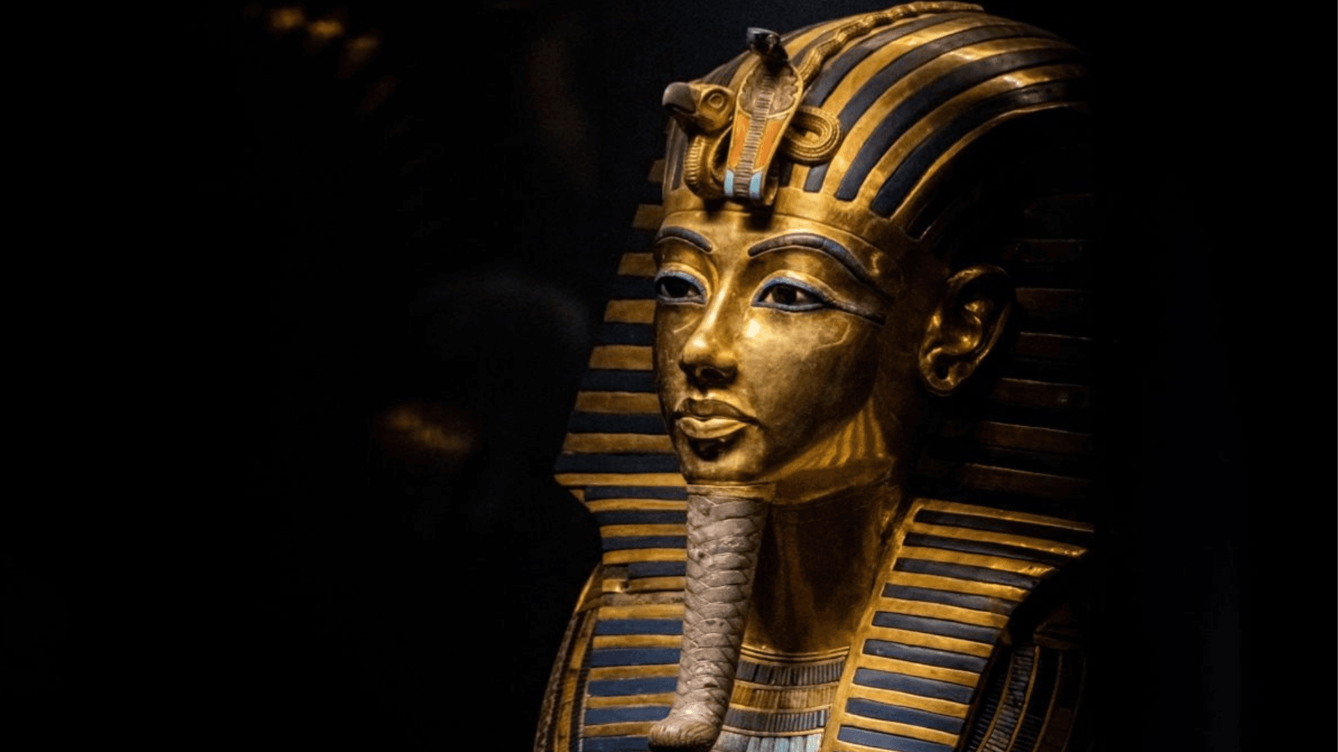 Group of different colored LEGO® bricks.