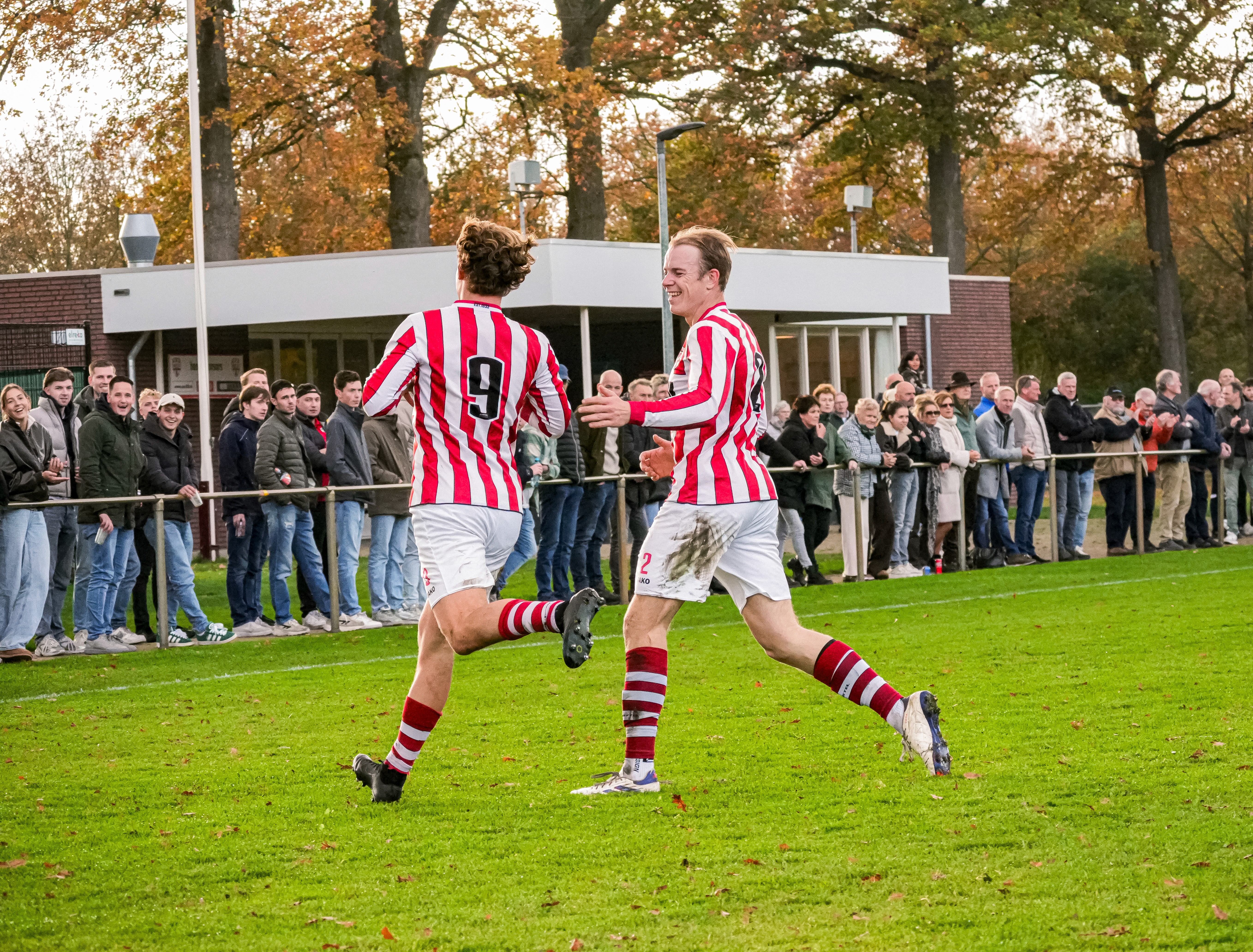 Woman Wearing Sunglasses