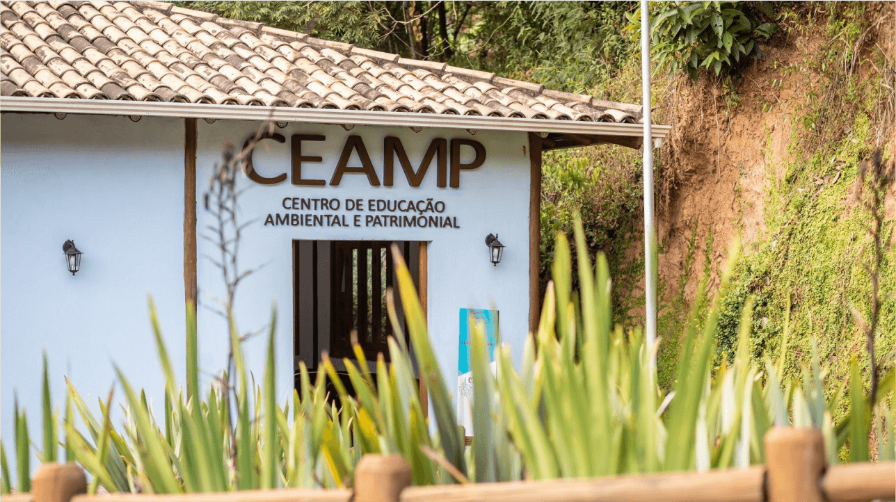 brown starfish on blue sand