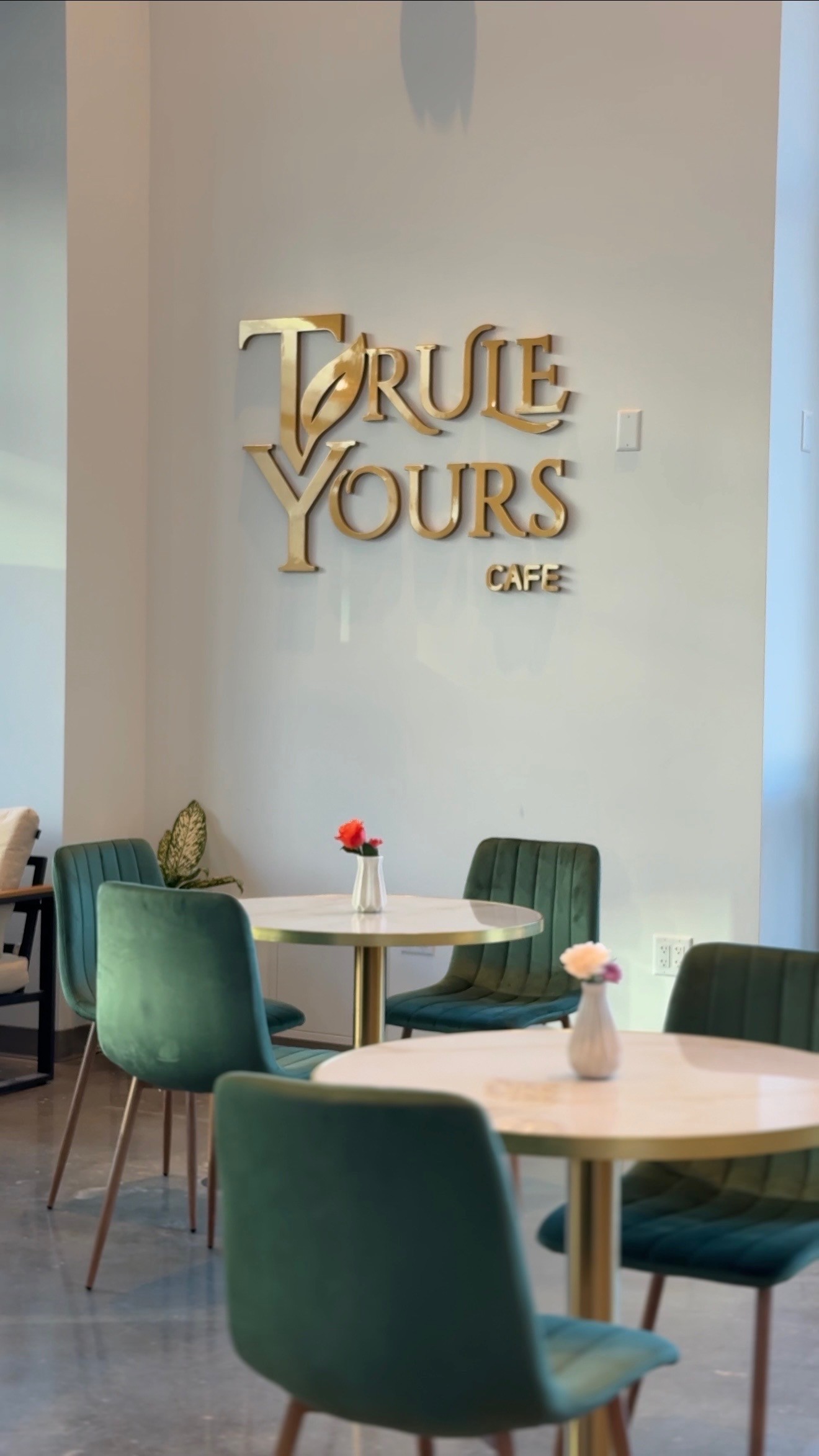 The interior of Trule Yours Cafe located in Seattle