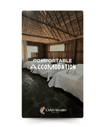 Comfortable Accomodation