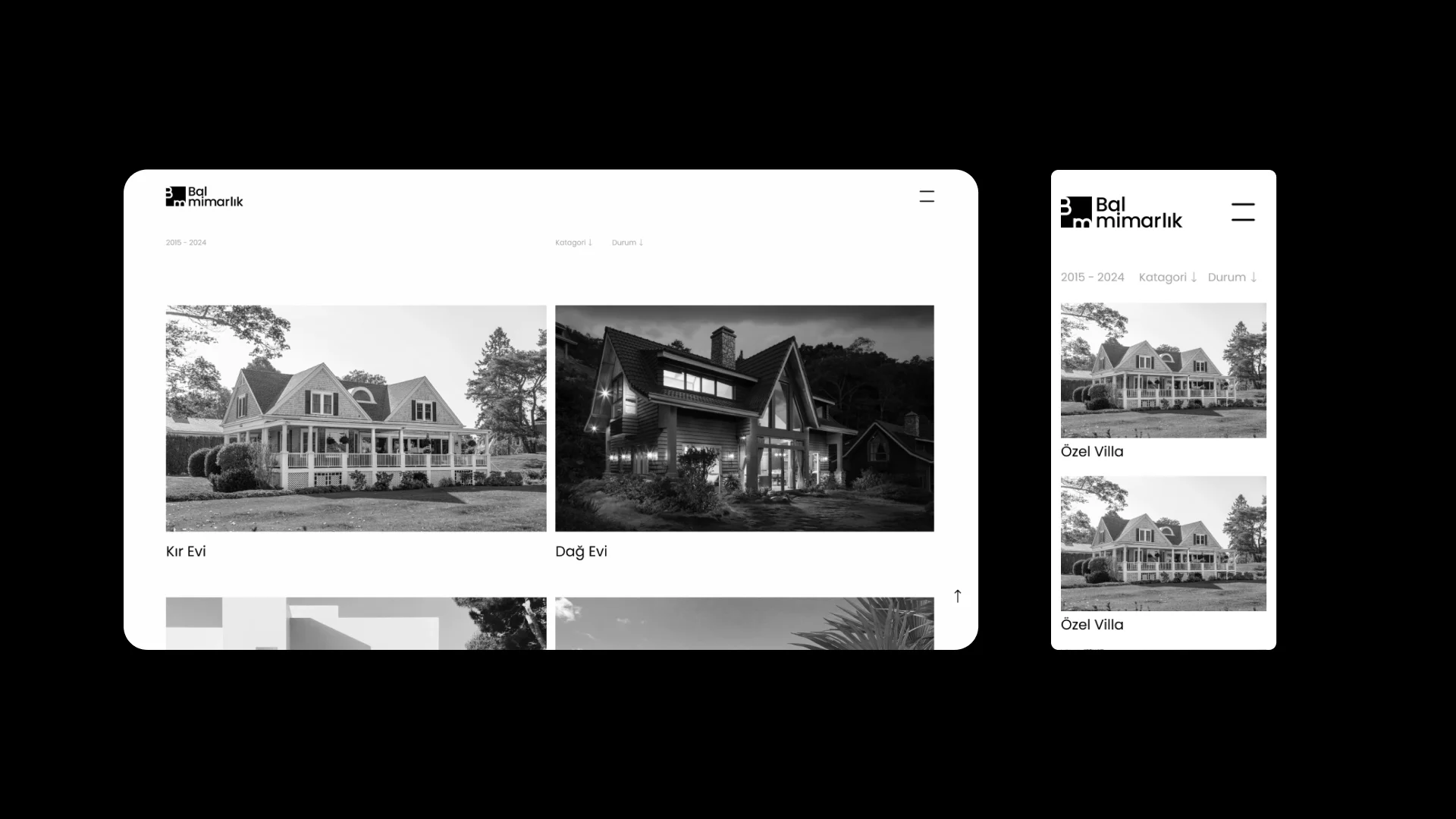 Website showcase 2