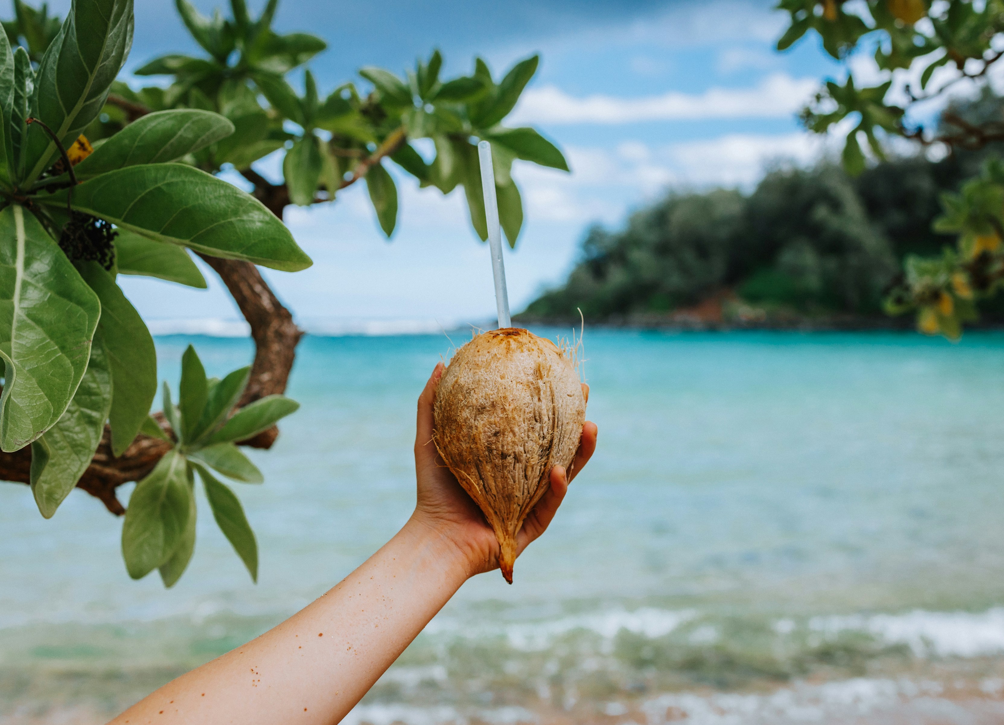 a hand holding a fruit