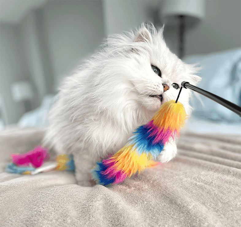 Finding the Right Toy for Your Cat
